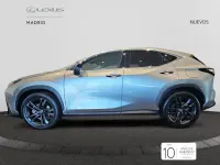 Nuevo Lexus NX350h Executive Line 242 CV (177 kW) 2025 Gris