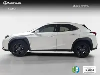 Usado Lexus UX 199 CV (146 kW) 2025 Blanco SUV