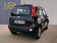 usado Fiat Panda 1.2 Easy