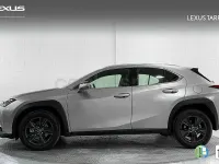 Usado Lexus UX 199 CV (146 kW) 2025 Gris / plata SUV