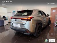 Usado Lexus UX 250h Business Edition 184 CV (135 kW) 2021 Otro SUV