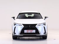 usado Lexus UX 250h BUSINESS AUTO 2.0 184 5P