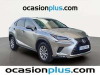 Usado Lexus NX300h Business Edition 197 CV (144 kW) 2018 Gris SUV