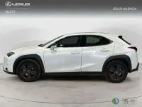 Usado Lexus UX 300h 2026 Blanco SUV