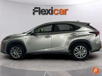 Usado Lexus NX300h Business Edition 197 CV (144 kW) 2017 Gris SUV