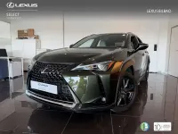 Usado Lexus UX 250h Business Edition 184 CV (135 kW) 2022 Verde SUV