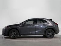 Usado Lexus UX 184 CV (135 kW) 2023 Gris SUV
