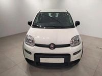 Usado Fiat Panda 70 HP (51 kW) 2024 Branco Citadino