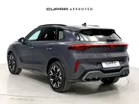 Usado Cupra Terramar 204 CV (150 kW) 2025 Burdeos SUV