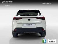 Usado Lexus UX 300h 200 CV (147 kW) 2025 Blanco SUV