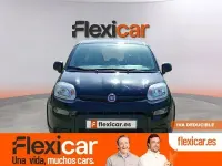 Usado Fiat Panda 70 CV (51 kW) 2023 Negro Utilitario