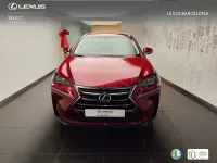 Usado Lexus NX300h Business Edition 197 CV (144 kW) 2017 Rojo SUV