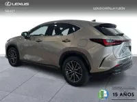 Usado Lexus NX450h+ 306 CV (225 kW) 2025 Gris SUV