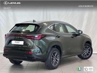 Usado Lexus NX350h 243 CV (178 kW) 2025 Verde SUV