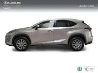 Usado Lexus NX300h Business Edition 197 CV (144 kW) 2018 Gris SUV