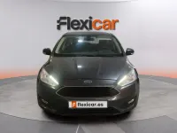 Usado Ford Focus Trend 101 CV (74 kW) 2017 Gris Berlina
