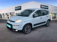 Usado Fiat Panda City Life 71 CV (52 kW) 2021 Gris Berlina