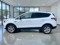 Usado Ford Kuga Titanium 120 CV (88 kW) 2019 Blanco SUV