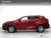 usado Lexus NX300h Business 2WD