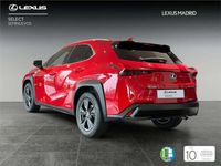 Usado Lexus UX Business Edition 184 CV (135 kW) 2020 SUV