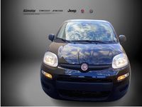 Nuevo Fiat Panda Icon 70 CV (51 kW) 2025 Negro Berlina