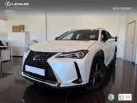 Usado Lexus UX Business Edition 184 CV (135 kW) 2022 Blanco SUV