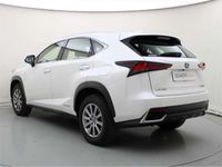 usado Lexus NX300 300h Business Navigation 2WD