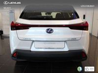 usado Lexus UX 250h Executive Navigation 2WD