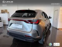 Usado Lexus NX450h+ Executive Line 147 CV (108 kW) 2026 Plateado SUV