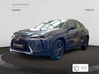 Nuevo Lexus UX 300h 199 CV (146 kW) 2025 Gris SUV