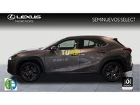 usado Lexus UX 2.0 250h Business 2WD