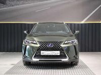 Usado Lexus UX 300e Executive Line 150 kW (204 CV) 2022 Verde SUV