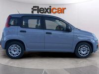 Usado Fiat Panda 71 CV (52 kW) 2022 Gris Utilitario