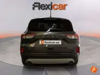 Usado Ford Kuga Titanium 150 CV (110 kW) 2023 Gris SUV