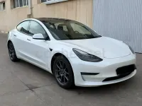 Usado Tesla Model 3 366 kW (498 CV) 2022 Eléctrico Berlina