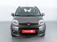 Usado Fiat Panda Lounge 69 CV (50 kW) 2019 Gris / plata Utilitario