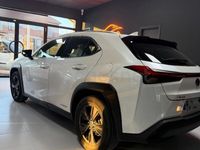 Usado Lexus UX Business Edition 184 CV (135 kW) 2021 Blanco SUV