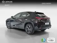 Usado Lexus UX 199 CV (146 kW) 2025 Negro SUV