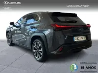 Usado Lexus UX Sport Line 199 CV (146 kW) 2025 Gris SUV