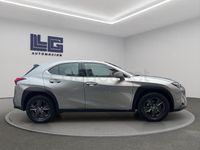 Usado Lexus UX Business Edition 184 CV (135 kW) 2019 Gris / plata SUV