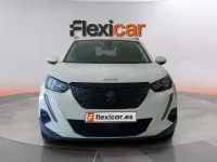 Usado Peugeot 2008 Allure 131 CV (96 kW) 2020 Blanco SUV