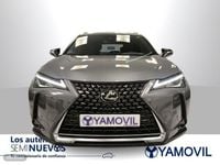 Usado Lexus UX 250h Executive Line 184 CV (135 kW) 2020 Gris SUV