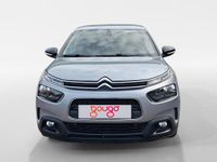 Usado Citroën C4 Cactus Shine 99 CV (72 kW) 2019 Utilitario