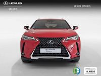 Usado Lexus UX 250h Business Edition 185 CV (136 kW) 2020 Rojo SUV