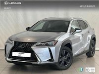 Usado Lexus UX 250h 184 CV (135 kW) 2024 Blanco SUV