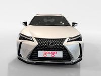 Usado Lexus UX 199 CV (146 kW) 2024 Blanco SUV