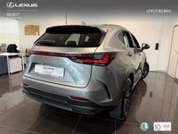 Usado Lexus NX450h+ 292 CV (214 kW) 2025 Gris / plata SUV
