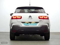 Usado Citroën C4 Cactus Shine 99 CV (72 kW) 2019 Blanco Utilitario