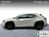 Usado Lexus UX 199 CV (146 kW) 2025 Blanco SUV