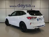 Usado Ford Kuga ST-Line X 224 CV (164 kW) 2022 Blanco SUV